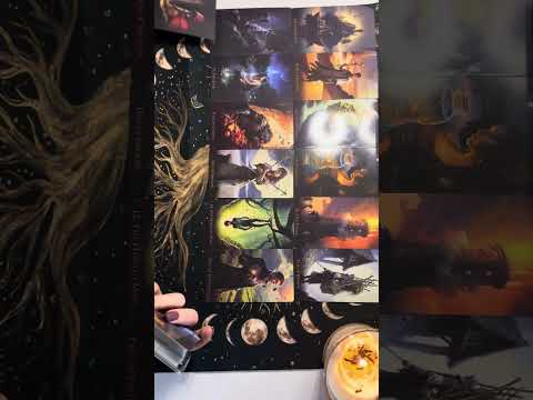 Видео: Мужчина урок не проходит- наступает на те же грабли 🤯🤯🤷‍♀️🧐👆💫