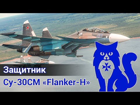 Видео: Су-30СМ "Flanker-H" - Защитник (вылет с действующим лётчиком-истребителем) (DCS World) | WaffenCat