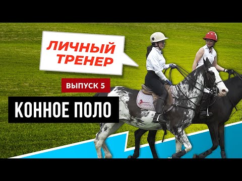 Видео: Конное поло – только для избранных. Или нет? Личный тренер. Выпуск №5