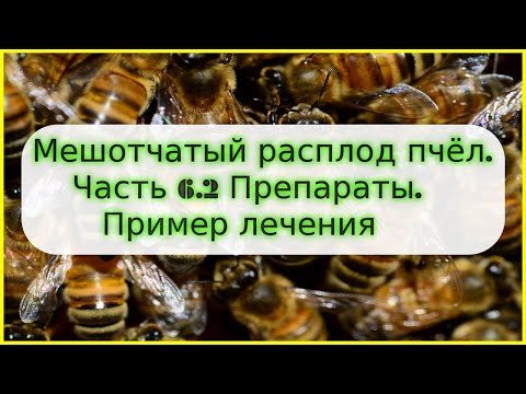 Видео: ❤ Вирус Мешотчатого расплода пчёл. Часть 6.2 Препараты. Пример лечения ❤