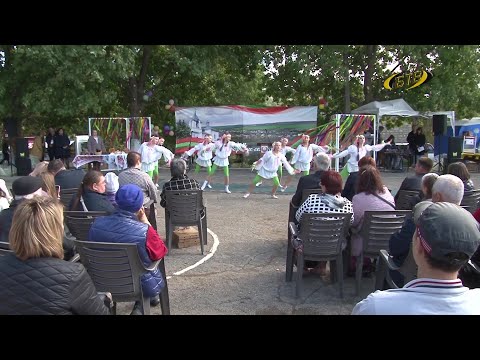 Видео: Под защитой Богородицы