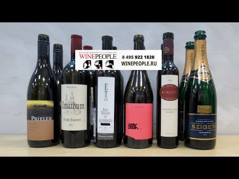 Видео: Мастер-класс по австрийским винам в школе сомелье WinePeople