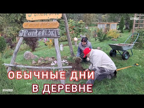 Видео: Latvija Latgale Просто в деревне Дружная семейка Карп на ужин Ночные заморозки Цветы и камни