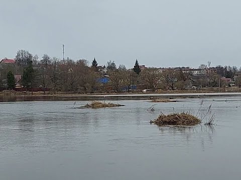 Видео: Разлив реки Вязьма в 2024 году  Ожидания не оправдались