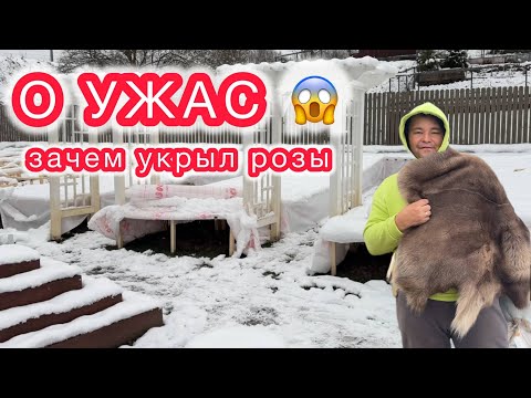 Видео: УКРЫВАТЬ - НЕ УКРЫВАТЬ... Вот в чём вопрос?!