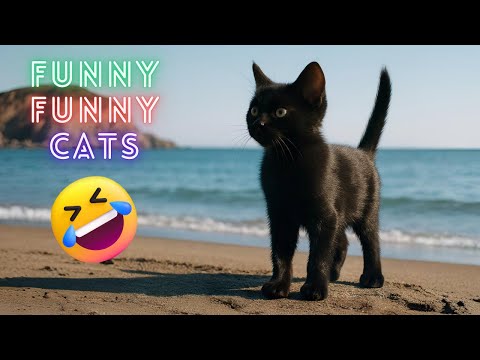 Видео: Коты Приколы 2025 – Самые Смешные Ошибки и Забавные Моменты 😹
