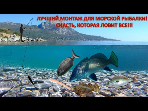 Видео: Лучший монтаж для рыбалки на Черном море Отводной поводок для морской рыбалки.Ловит всю  рыбу!