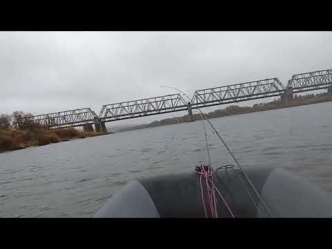 Видео: Закрытие лодочного сезона на Оке