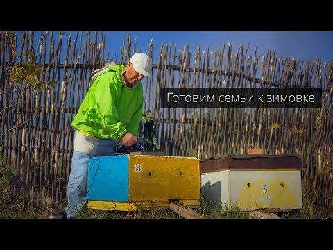 Видео: Тонкости подготовки пчёл к зиме