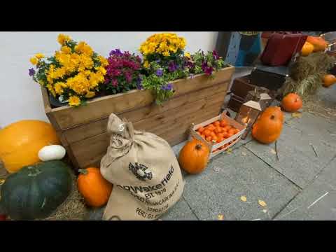 Видео: ЧТО ЗА ТЫКВЕННЫЙ ПРАЗДНИК В СТАРОМ ГОРОДЕ ТАЛЛИНА??!!!