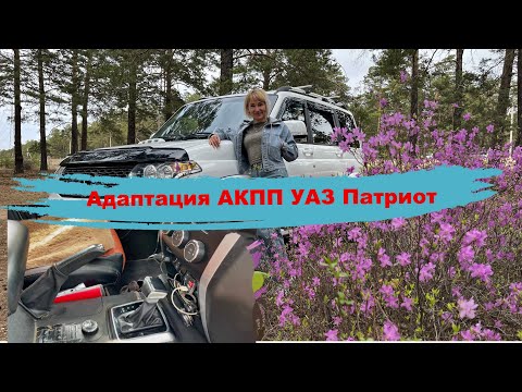 Видео: Лечим  АКПП УАЗ Патриот (адаптация, перепрошивка, замена масла)