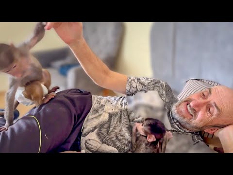 Видео: Люся решила что со Степашкой БЕДА и требует чтобы Влад срочно ПРИНЯЛ МЕРЫ!!!