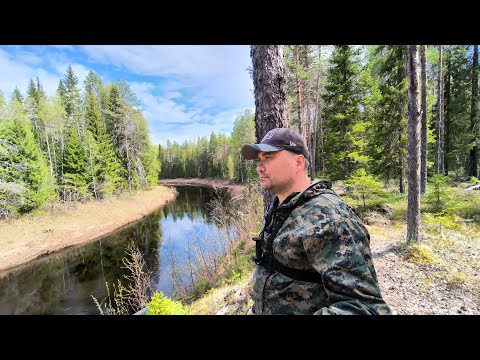 Видео: Сплав по р.Урзуга - р.Лая. Встреча с медведем и не только! 29.05 - 01.06.24г.