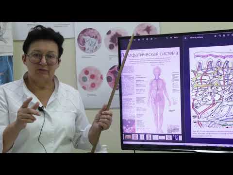 Видео: Синяки на теле без причины, о чем говорит “безобидный” симптом?