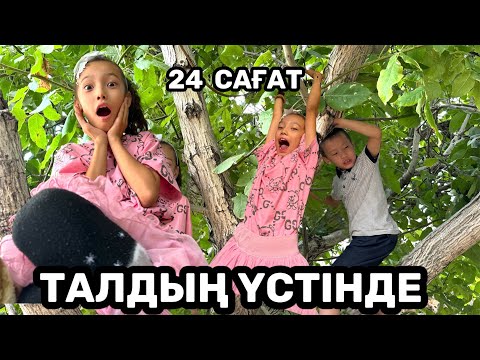 Видео: 24 САҒАТ ТАЛДЫҢ ҮСТІНДЕ😱😱| АҚБОТА ҚҰЛАП ҚАЛДЫ🥹😢😢@АУЫЛДАНСӘЛЕМ