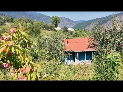 Видео: КУПИЛА ЗАБРОШЕННУЮ ДАЧУ | ПРО ЦЕНУ И ОФОРМЛЕНИЕ ДОКУМЕНТОВ | СКОЛЬКО СТОИТ МОЯ ЗАБРОШКА