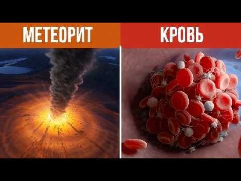 Видео: Самый Громкий VS Самый Тихий Звук В Мире