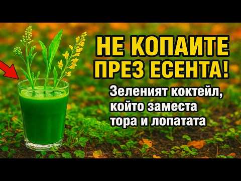 Видео: Не копайте градината през есента! Този „коктейл“ от сидерати е тайната на мързеливия градинар, койт