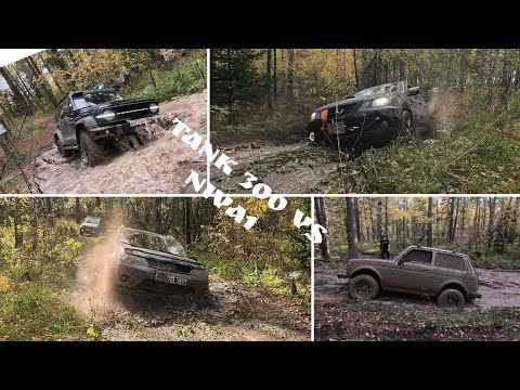 Видео: Паркетники по "стопам" TANK300. Видовки ГТО 2,3,4. #TANK300 #Нива 21.09.25.
