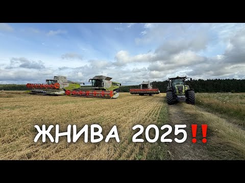 Видео: Жнивуєм повним ходом‼️Цифри по врожайності💪Тікаємо від дощу⛈️