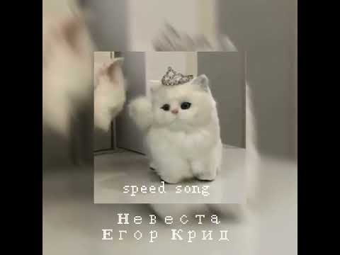 Видео: Егор Крид - Невеста (speed song)