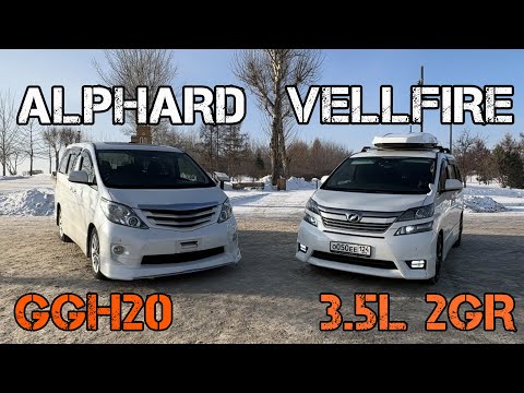 Видео: ALPHARD VS VELLFIRE! Альфард или Велфаер? Семейный минивен с гоночной душой!