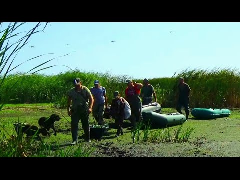 Видео: Открытие охоты 2021! Наловили рыбы, а утром настреляли уток! #охота2021