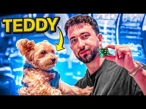 Видео: ПОЗВОЛЯЮ МОЕМУ ЩЕНКУ СЫГРАТЬ В БЛЭКДЖЕК НА 5000 ДОЛЛАРОВ…