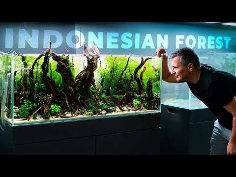 Видео: Рождение НЕВЕРОЯТНОГО акваскейпа в индонезийском стиле с растениями