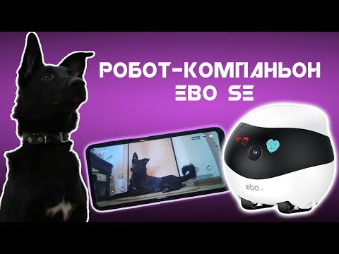 Видео: Робот для Слежки. Обзор на робот камеру Ebo SE. Робот компаньон