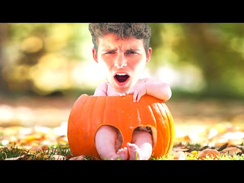 Видео: ТЫКВЕННАЯ Грядка пуста...