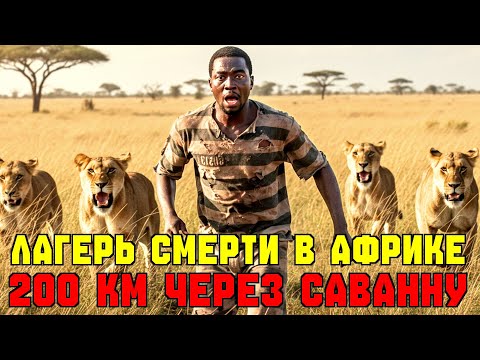 Видео: 200 КМ ПО Африканской САВАННЕ среди хищников после побега