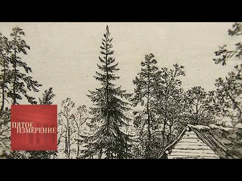 Видео: Пятое измерение. Выпуск от 26.02.13 / Телеканал Культура