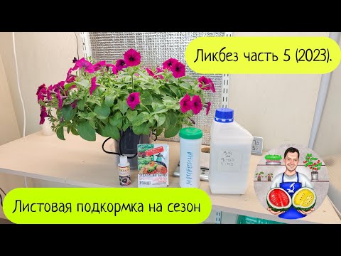 Видео: Ликбез часть 5 (2023). Пока только "возможная" народная листовая подкормка.