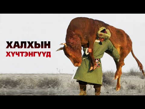Видео: БЯР ИХТ ХАЛХЫН ХҮЧТЭНГҮҮДИЙН ТҮҮХ 💪