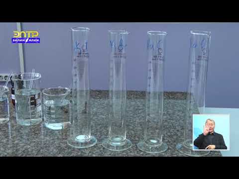 Видео: РЕАКЦИЯНЫН ТИПТЕРИ