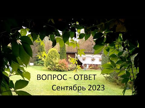 Видео: Вопрос - ответ, сентябрь 2023.