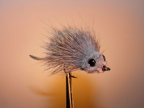 Видео: МЫШЬ SV