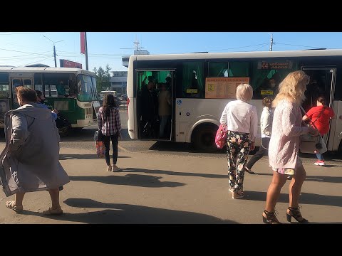 Видео: Northern Bus 4K. Автобус ПАЗ. 北方巴士