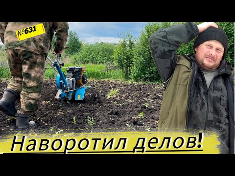 Видео: Почему мы не можем посадить в этом году картошку. Жизнь в Омской деревне.