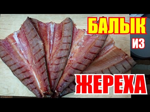 Видео: Самый вкусный балык из жереха