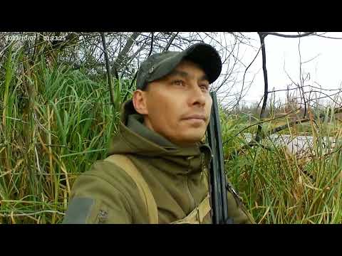 Видео: Удачное закрытие сезона по водоплавающей/ Очень много утки в одной лужи