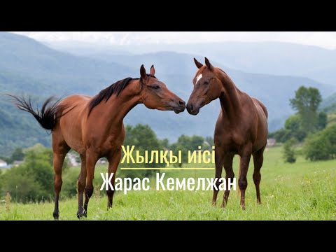 Видео: Жылқы иісі.
