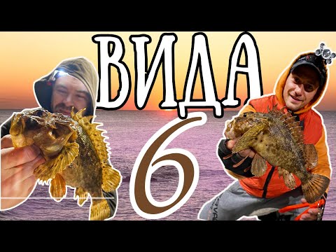 Видео: МОРСКА КАСАПНИЦА.РИБОЛОВ на ЕДРИ СКОРПИДИ,ВРАНИ и ЛИХНУСИ.