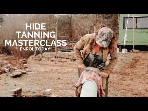 Видео: Как выделка кожи - мастер-класс по дублению кожи из мозгов (или яиц) уже открыт!