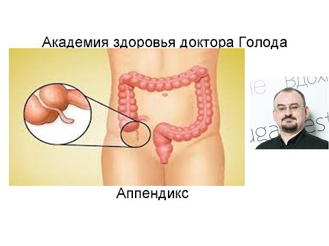 Видео: Аппендикс и его значение.