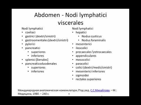 Видео: Лимфатические узлы брюшной полости и таза
