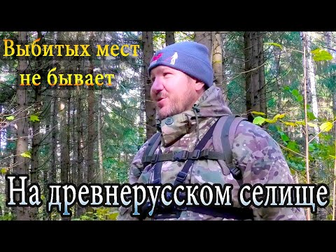 Видео: Выбитых мест не бывает. Коп в осеннем лесу на древнерусском селище. КЛАДОИСКАТЕЛЬ РУСЯ.