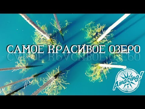 Видео: Каинды. Самое красивое озеро Казахстана!