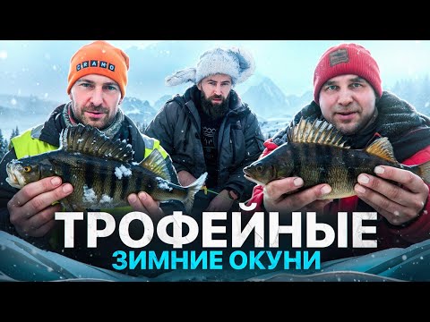 Видео: В ТАЙГЕ НА ЗИМНЕЙ РЫБАЛКЕ. ПОПАЛИ НА СТАЮ ГОЛОДНЫХ, ТОЛСТЫХ ОКУНЕЙ. БЫТ В ИЗБЕ#рыбалка#fishing#окунь